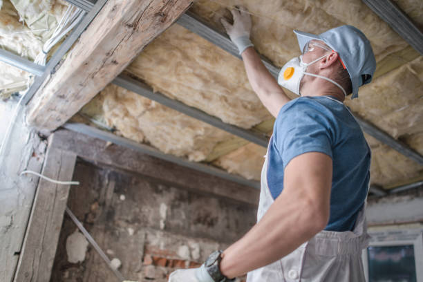 Best Residential Insulation in Carlisle, IA