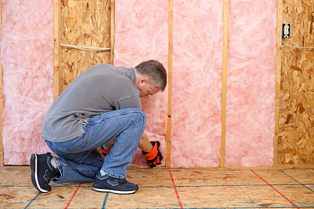 Best Commercial Insulation in Carlisle, IA