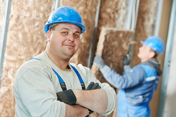 Best Spray Foam Insulation in Carlisle, IA