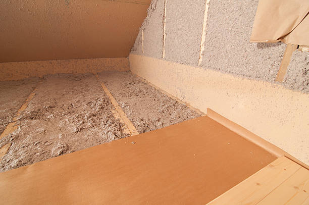 Best Specialized Insulation Services in Carlisle, IA